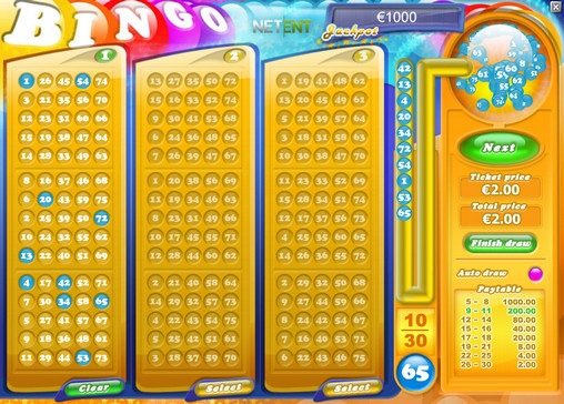 Bingo (Бинго) из раздела Бинго