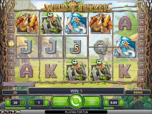 Wild Turkey (Дикая индейка) из раздела Игровые автоматы