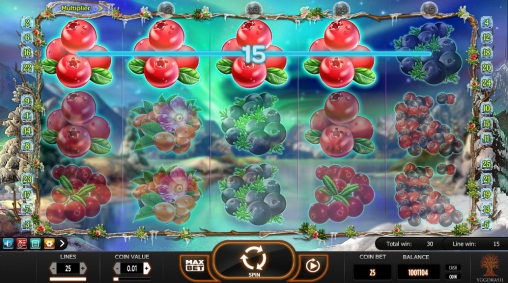 Winterberries (Остролист) из раздела Игровые автоматы