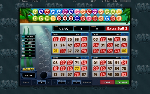 Boto Bingo (Бото Бинго) из раздела Бинго