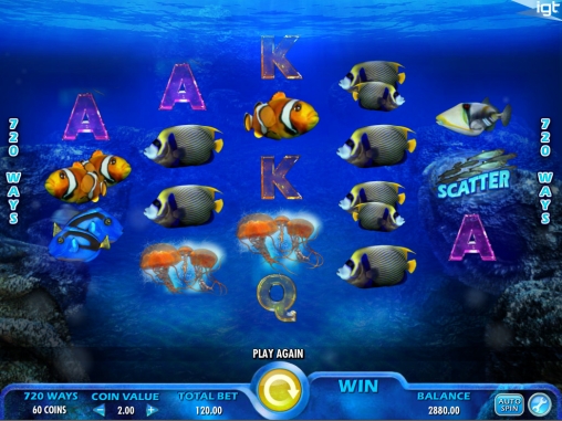 Pacific Paradise (Тихоокеанский рай) из раздела Игровые автоматы