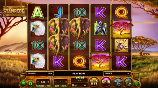Stampede (Бегство животных) из раздела Игровые автоматы