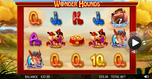 Wonder Hounds (Чудо-гончие) из раздела Игровые автоматы
