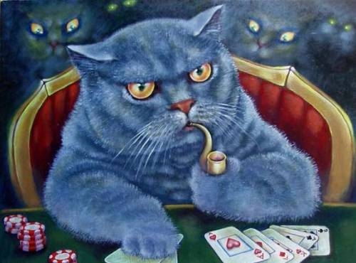 Кот играет в покер