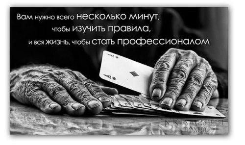 покер, стратегия, обучение, расчет отношения стека к поту, профессионалы в покере, получение прибыли, покерные правила, изучение теории покера
