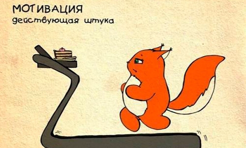 белка бегает на беговой дорожке за тортиком мотивация и сателлиты в покере