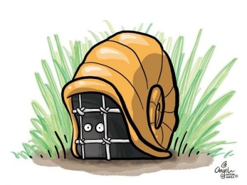 Улитка за решеткой в своей раковине, изоляция фишевого противника