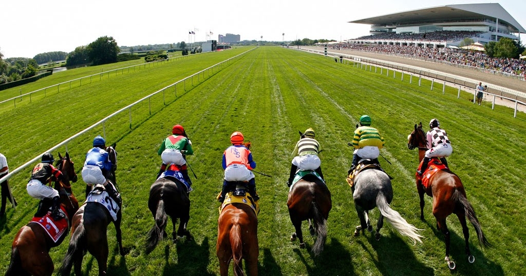Лошади с жокеями на старте перед соревнованиями