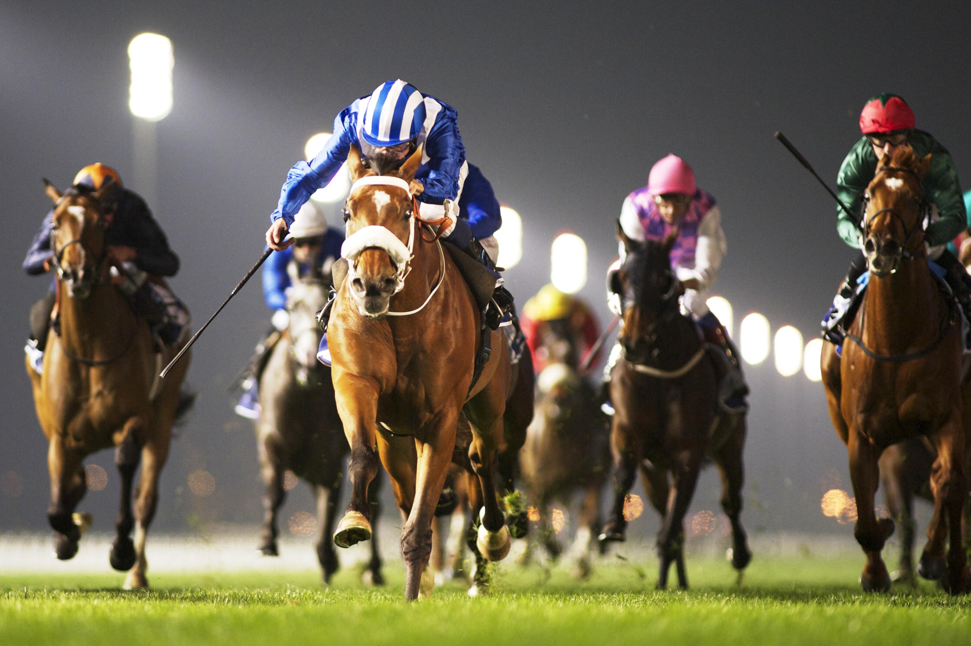 Лошадиные скачки на высокой скорости