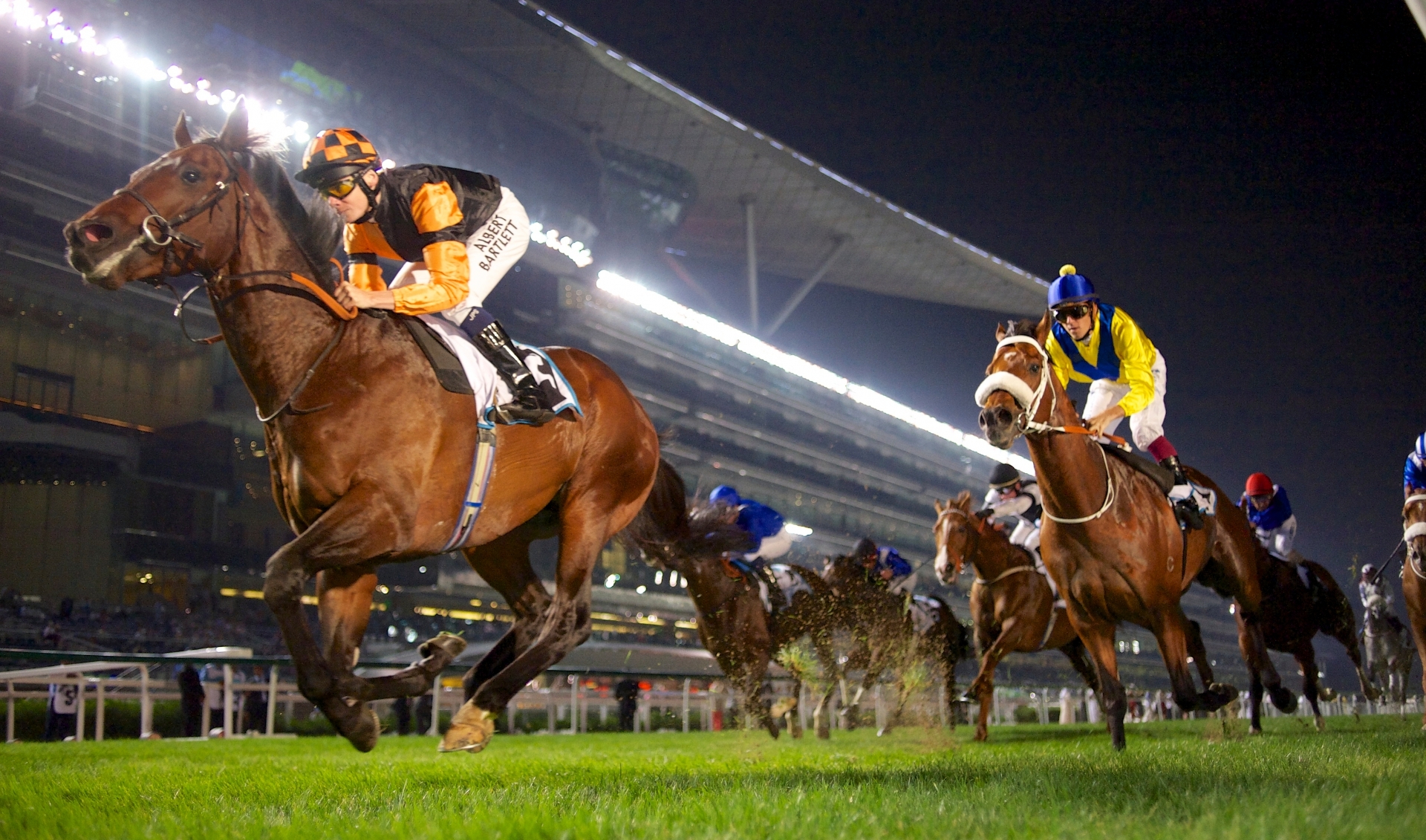 Мощный коричневый конь со своим всадником рвется к финишу