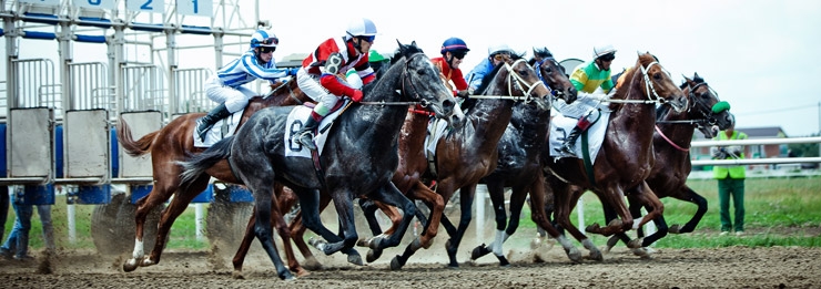 Старт лошадиных забегов