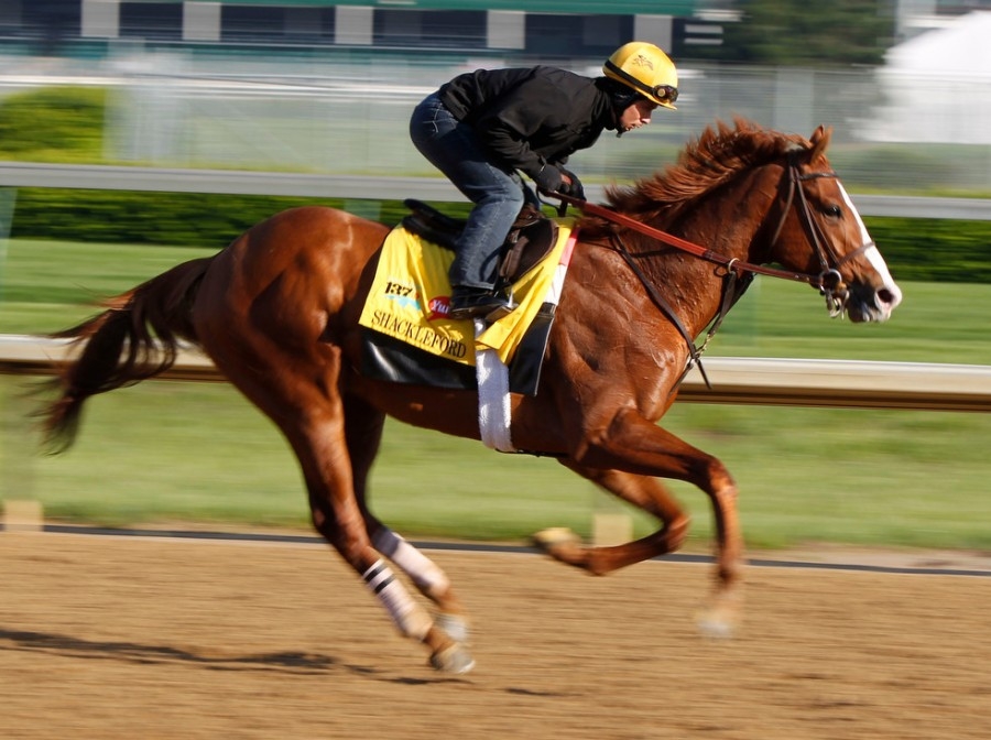 Красивая рыжая лошадь с наездником мчится на лошадиных бегах