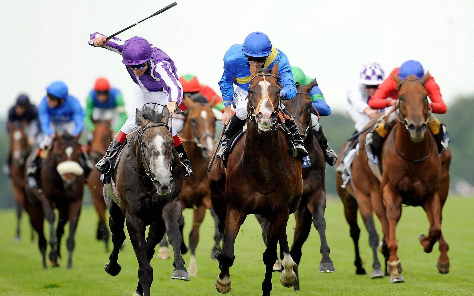 Лошади с наездниками мчатся вперед, соревнуясь на скачках