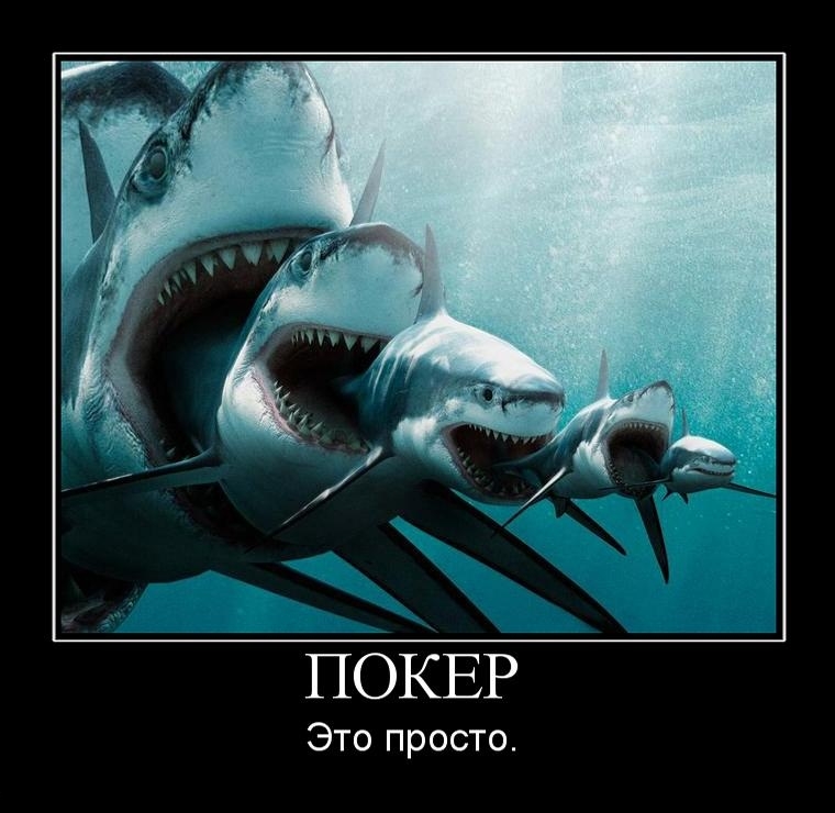 Покер-это просто!  На анализ своих проведенных раздач я планирую тратить около трех часов в неделю. план, уроки покер, обучение, советы, выигрыш, тактика, основные положения, интересное