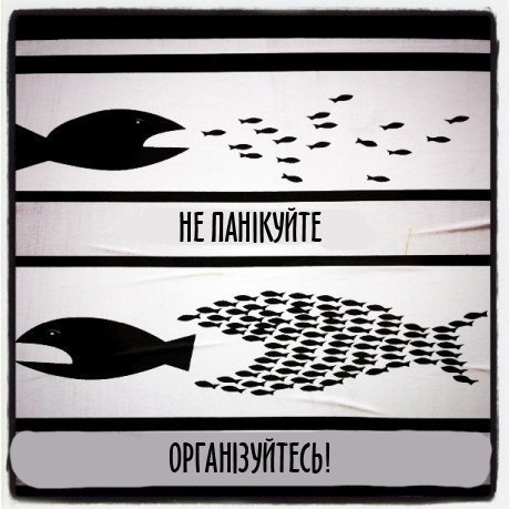 Экосистема - покер. Кого можно назвать успешным игроком?