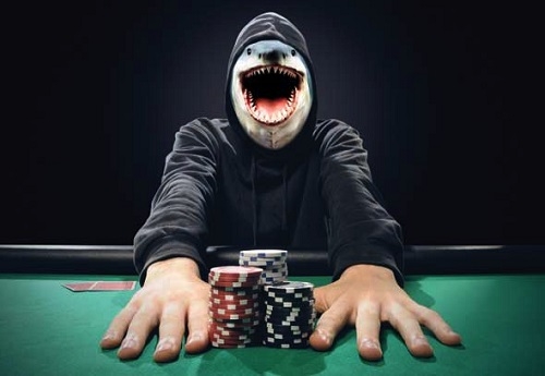 Гибкость поведения. Будь акулой в покере, будь победителем! игроки в покер, интересное, навыки покера, полезное, мастера покера, стиль жизни, успех