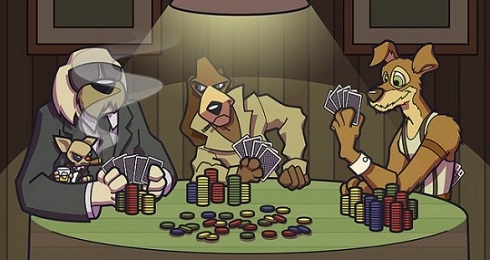 размеры стеков, стек, Джейсон Уиллер, Сорела Мицци, Элио Фокс, турниры, советы, интересное