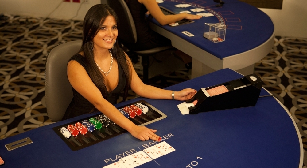 обучение на дилера казино