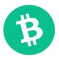 Bitcoin Cashcasino