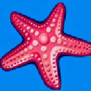 Символ Морская звезда в Wild Shark
