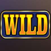 Символ Wild в Hold4Timer