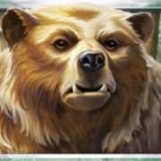 Символ Медведь в Wild Tundra