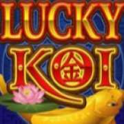 Символ Значок игры в Lucky Koi