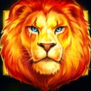 Символ Scatter в Lion Gems: Hold and Win