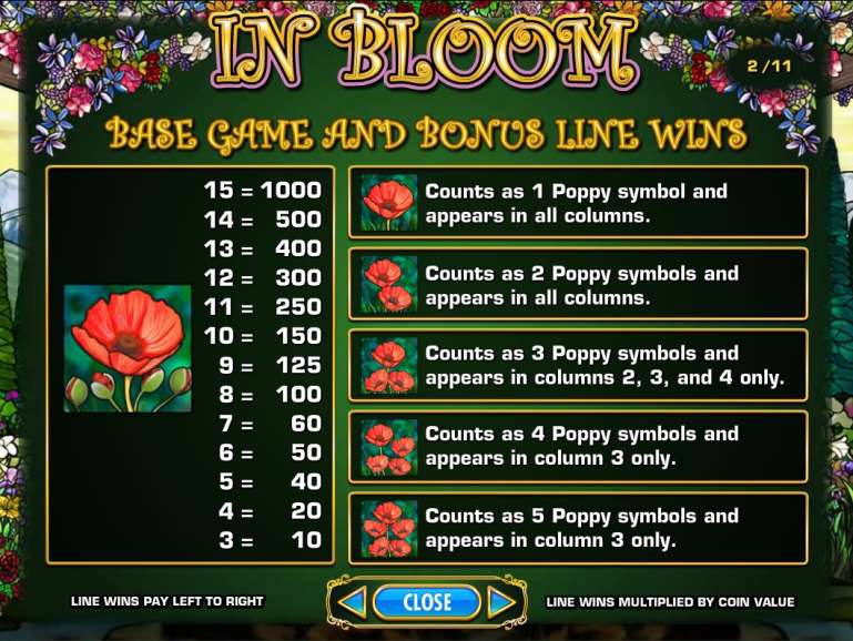 In bloom игровой автомат карты деньги казино онлайн