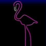 Символ Фламинго в Neon Life