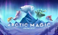 Магия Арктики