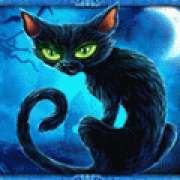 Символ Черный кот в Halloween Fortune II