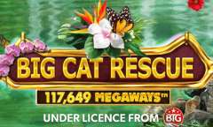 Спасение Большой Кошки Мегавейс