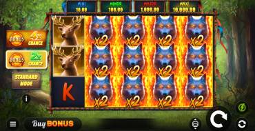 Blazing Spirit Hold and Win: Игровой автомат
