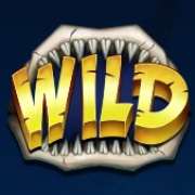 Символ Wild в Mega Don