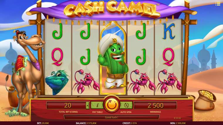 Видео покер Cash Camel демо-игра