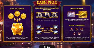 Cash Pig 2: Уникальные функции