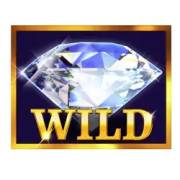 Cash Pig 2: Wild