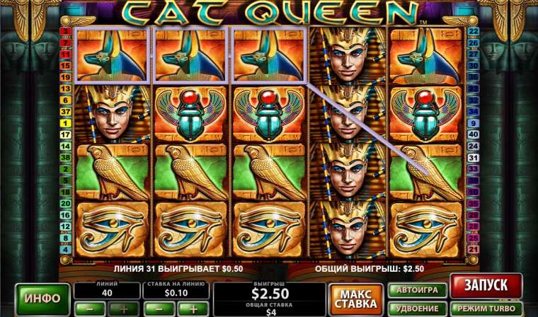 Cat queen игровой автомат кардонийская рулетка читать онлайн бесплатно