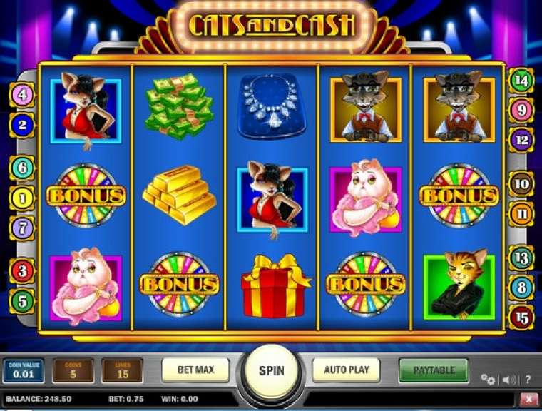 Видео покер CATS and CASH демо-игра