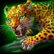 Символ Леопард в Mayan Blaze
