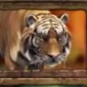 Символ Статуя тигра в Jungle Spirit: Call of the Wild