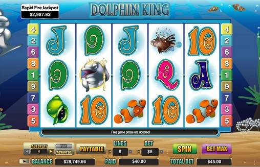 Dolphin King