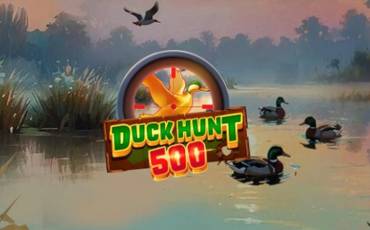 Duck Hunt 500