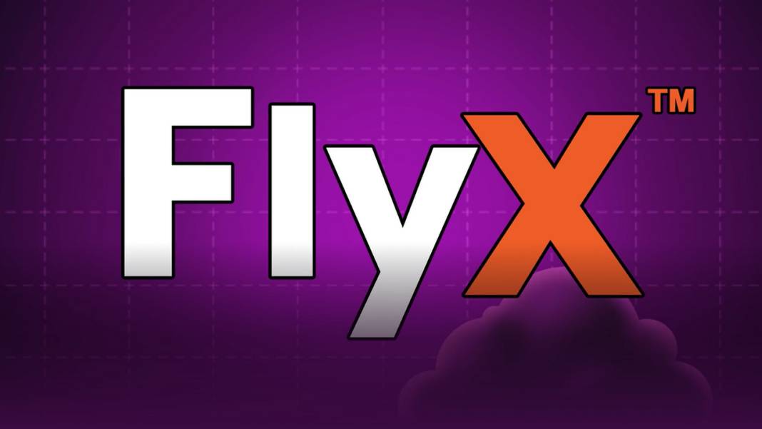 FlyX