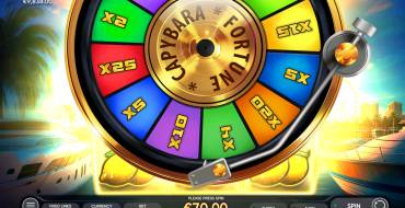 Fortune Capybara: Бонусные игры