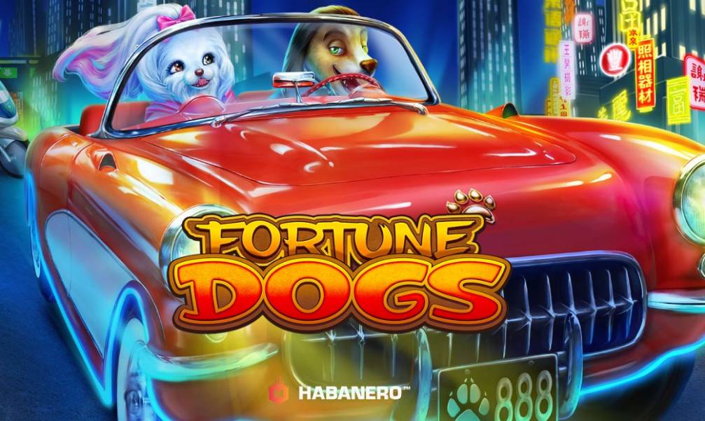 Fortune Dogs