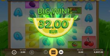 Fruit Shop Megaways: Выигрыши