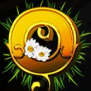 Kupala: Q