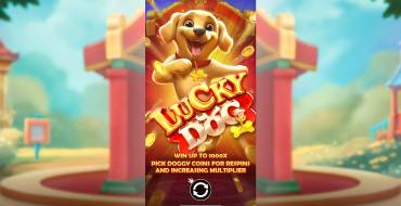 Lucky Dog: Уникальные функции